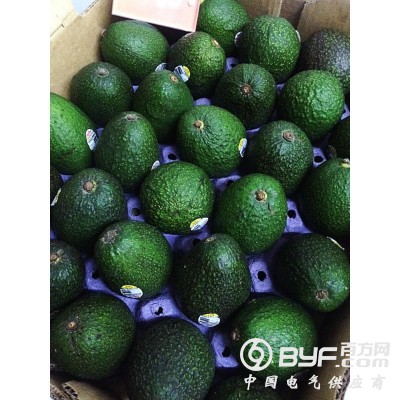 墨西哥牛油果图4