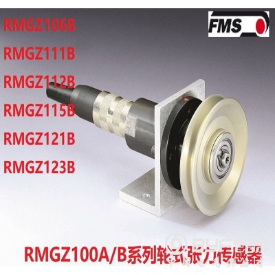 供应瑞士FMS张力传感器RMGZ100B/C 中国总代理