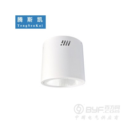 铁路站台雨棚照明灯具LED大功率100W 150W明装筒灯图4