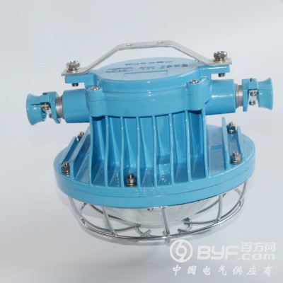 日照市矿用隔爆型LED巷道灯-双光源款图2