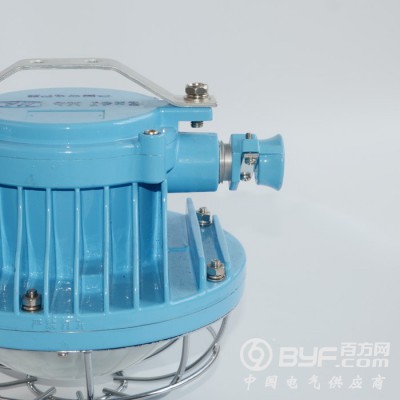 日照市矿用隔爆型LED巷道灯-双光源款图4