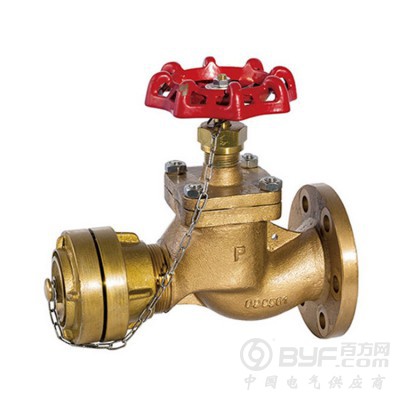 船用阀门 青铜消火栓 消防阀门厂 船用法兰消防阀图2