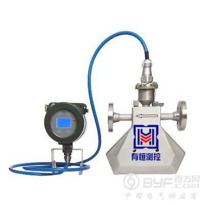 科氏力质量流量计 科里奥利质量流量计 上海流量计厂家图2