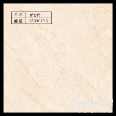 只发工地 鑫荣盛 沙漠之星 佛山鑫荣陶瓷图2