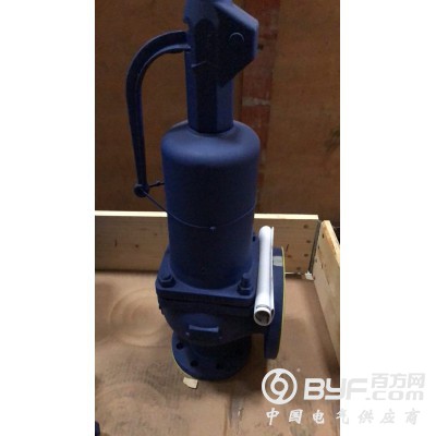 FIG12.901安全阀ARI艾瑞蒸汽安全阀_FIG.902图3