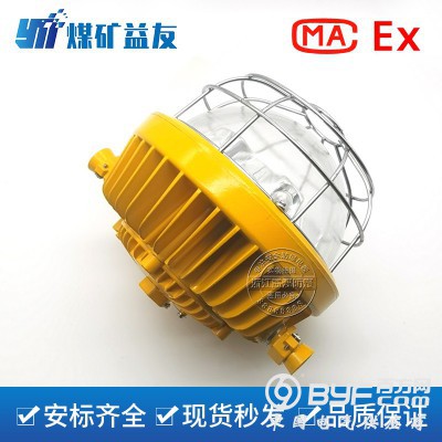 矿用隔爆型LED巷道灯-南瓜款图2