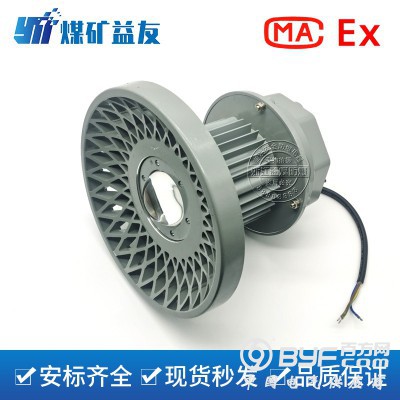 DGS100/127L矿用隔爆型LED巷道灯图2