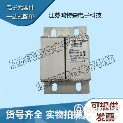 现货直销BUSSMANN巴斯曼快速熔断器模块170M1831图3
