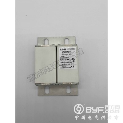 现货直销BUSSMANN巴斯曼快速熔断器模块170M1831图5
