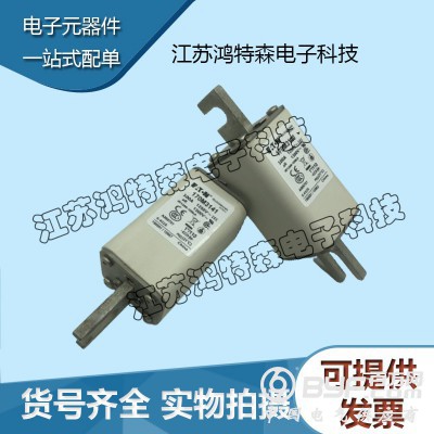 全新BUSSMANN巴斯曼170M3141熔断器现货图3