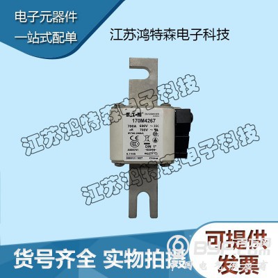 170M4267巴斯曼快速熔断器模块 全新图3