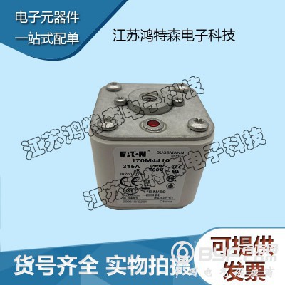 〖厂价销售〗170M4410巴斯曼熔断器图2