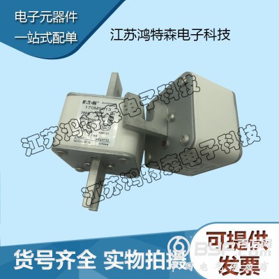 〖厂价销售〗170M5013巴斯曼熔断器图3
