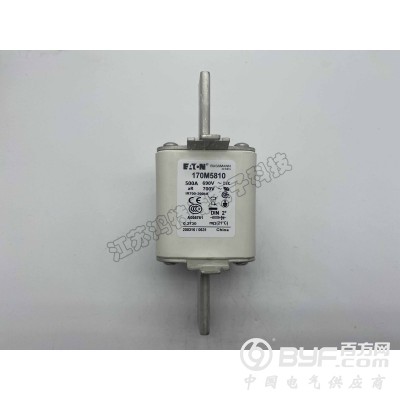 全新供应巴斯曼170M5810/170M5811熔断器模块图5