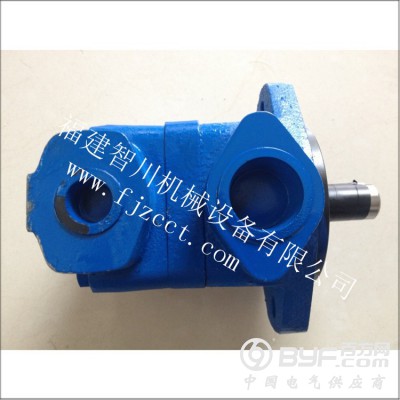 齿轮泵-麦特雷斯V10-1P2P-001C-20-F3图3