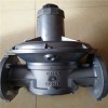 德国DUNGS冬斯FRS50100燃气减压阀