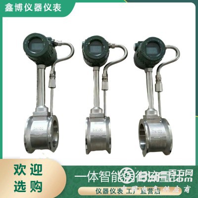 浩临涡街流量计 蒸汽流量计图2