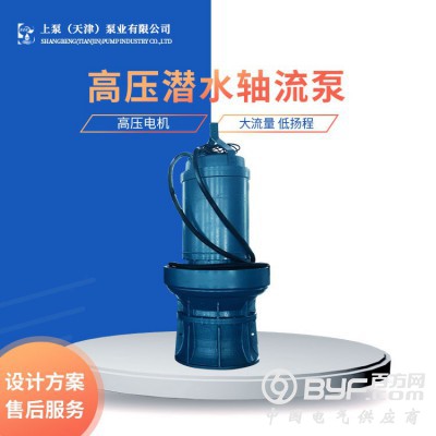 水上项目景区漂流专用直流潜水泵图2