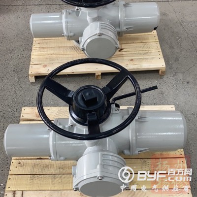 扬修电力CT4隔爆型电动执行器2SA8521厂家图2
