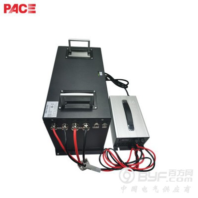 深圳沛城48V电动叉车AGVRGV穿梭车磷酸铁锂电池厂商图3