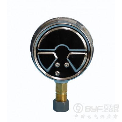 耐振压力表型号规格图3