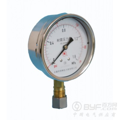 耐振压力表型号规格图2