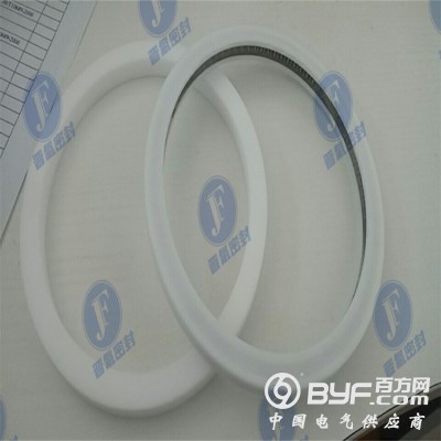 供应 端面泛塞封 平面弹簧蓄能密封圈图3