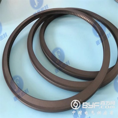 供应 端面泛塞封 平面弹簧蓄能密封圈图5