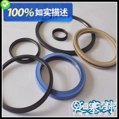 供应泛塞封 耐磨弹簧张力密封圈 多款供选 量大从优图2