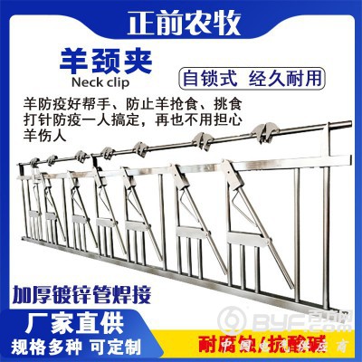 牛羊颈夹使用说明 牛羊颈夹的制作 牛羊颈家厂家 羊用的颈夹图2