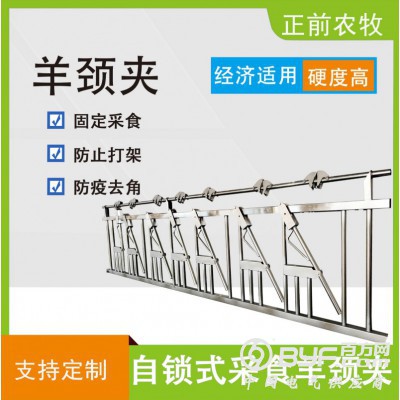 牛羊颈夹使用说明 牛羊颈夹的制作 牛羊颈家厂家 羊用的颈夹图3